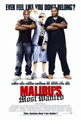 El más buscado en Malibú (2003)